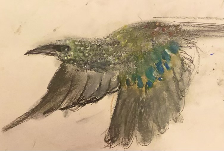 artwork of a Starling in oil pastels