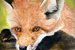 DrinkingFox