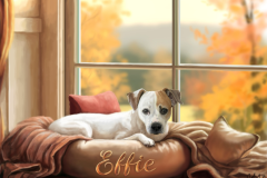 Effie
