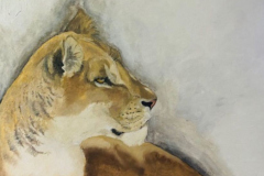 Lioness-
