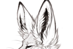 Sad-Fox-Sketcg