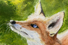 Sunshine-Fox