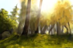 Wild-Places