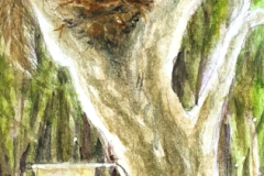 2025-Bookmark-Contest