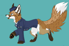 Air-Force-Fox