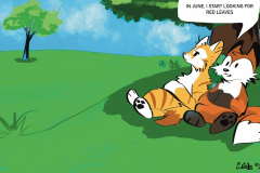 Fox-and-Cat-Comic