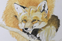 Perching-Fox